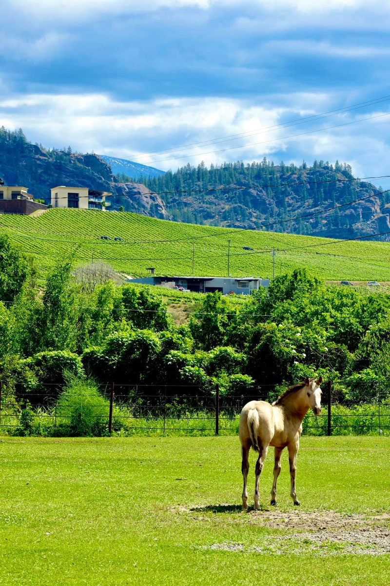 Spanish Cross | Boarding Facility