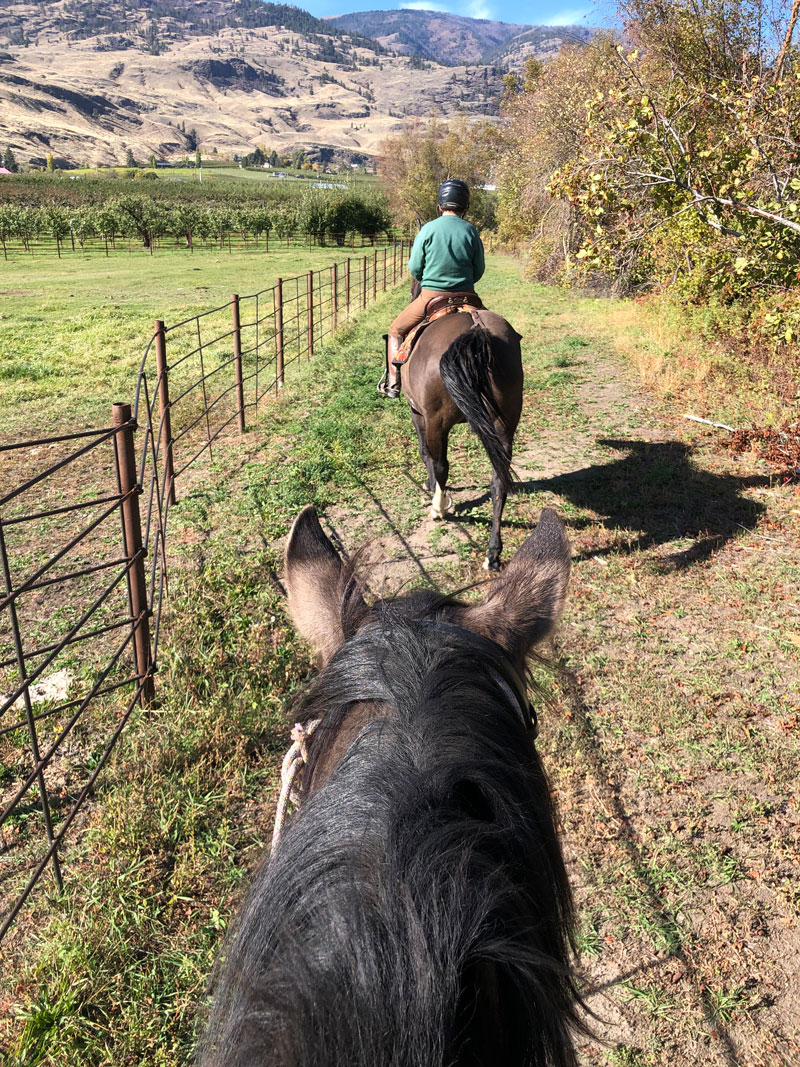 Spanish Cross | Boarding Facility