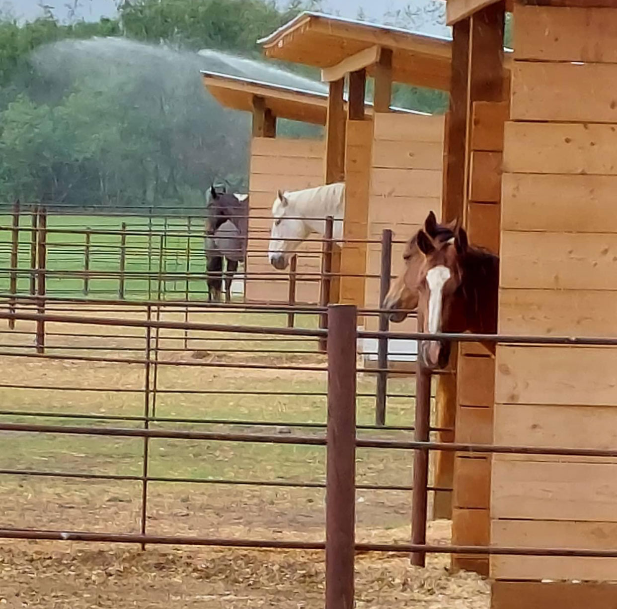 Spanish Cross | Boarding Facility