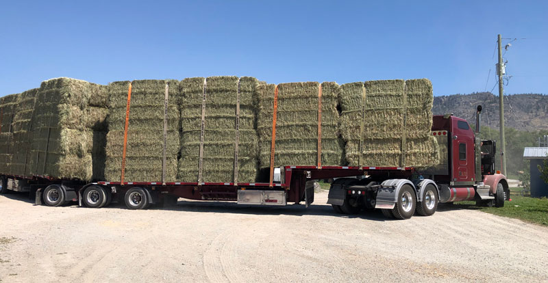 Spanish Cross | Boarding Facility