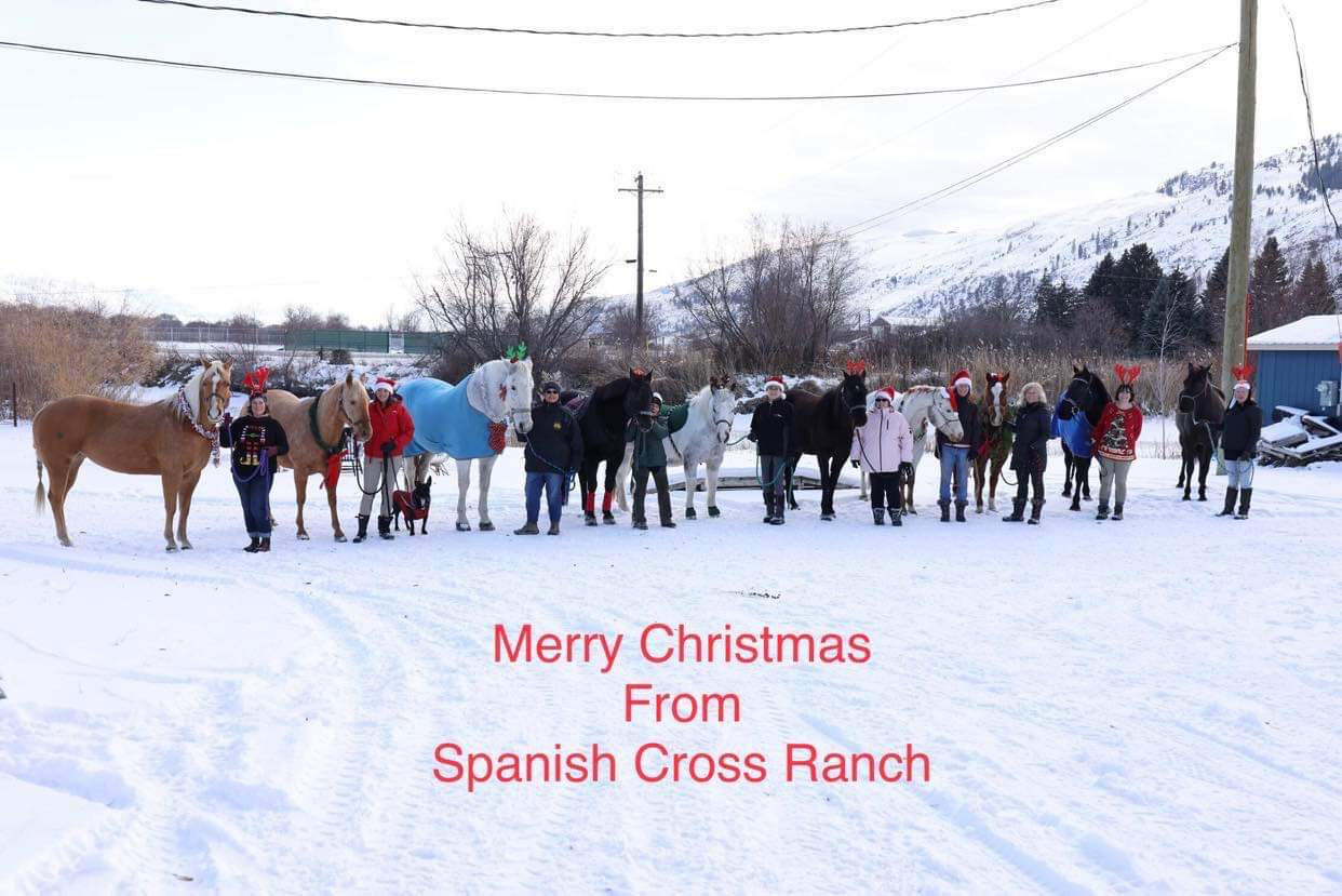 Spanish Cross | Boarding Facility